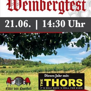 Festumzug 6. Querfurter Weinbergfest 21.06.2025